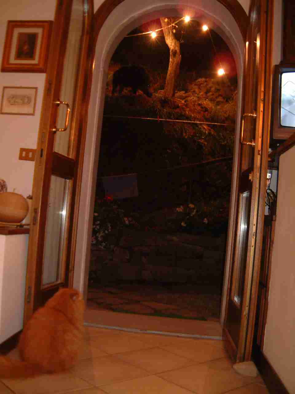  Image name: 04 Gigi.jpg 
 width: 960 pixel 
 height: 1280 pixel 
 Size: 42542 bytes 
 Click to enlarge 